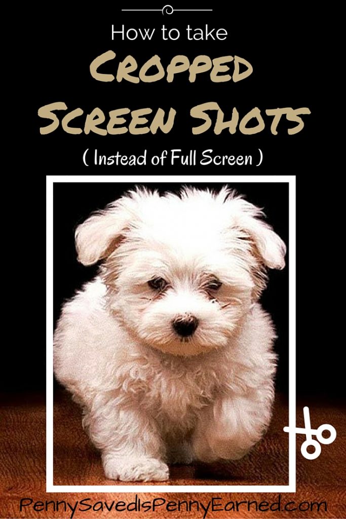 How to take Cropped Screen Shots for Free with Snipping Tool